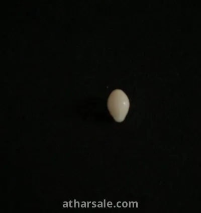 لؤلؤة بحرية طبيعية غير زراعية