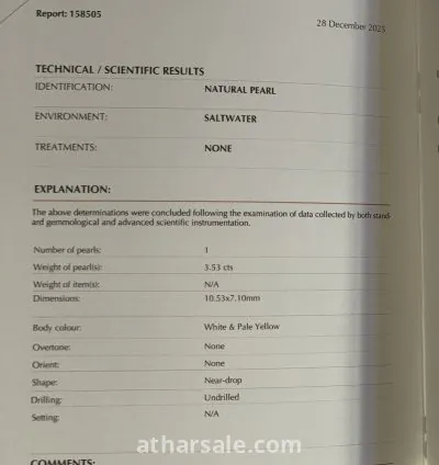 لؤلؤة بحرية طبيعية غير زراعية