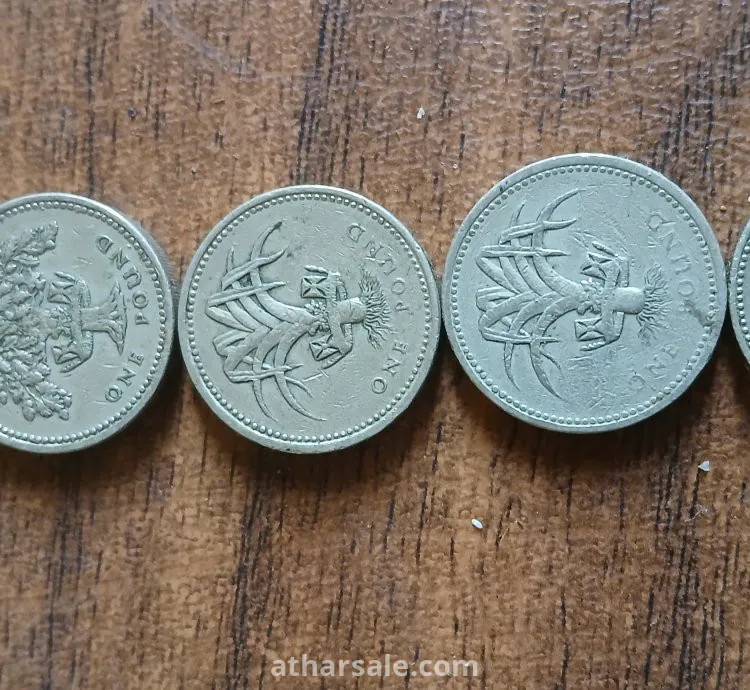 جنيه استرلينى نادر الملكة اليزابيث
