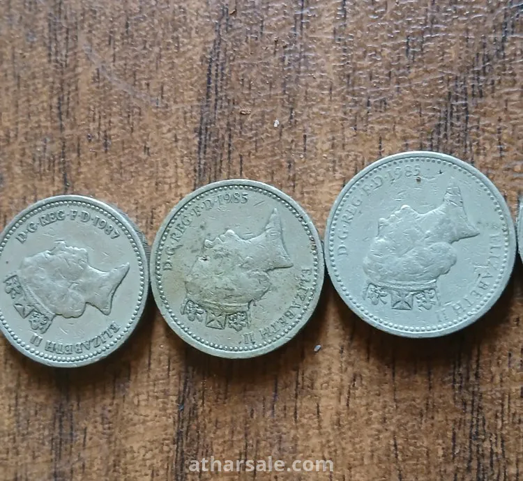 جنيه استرلينى نادر الملكة اليزابيث