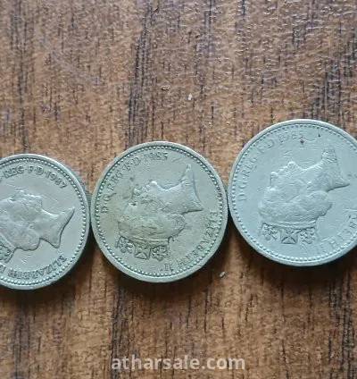 جنيه استرلينى نادر الملكة اليزابيث 10