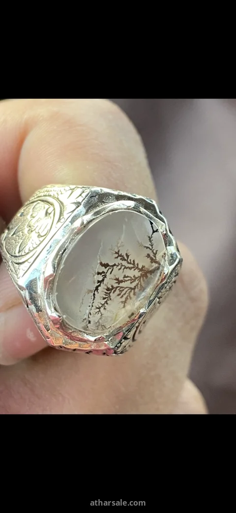 Unique tree agate gemstone ring