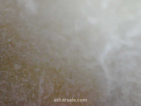 تمثال فهد (Ahura) الإيطالي(اصدار ملكي)