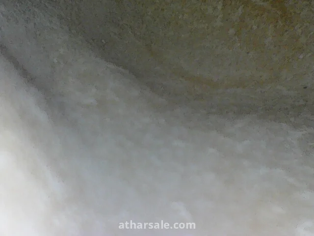 تمثال فهد (Ahura) الإيطالي(اصدار ملكي)