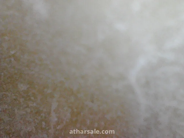 تمثال فهد (Ahura) الإيطالي(اصدار ملكي)