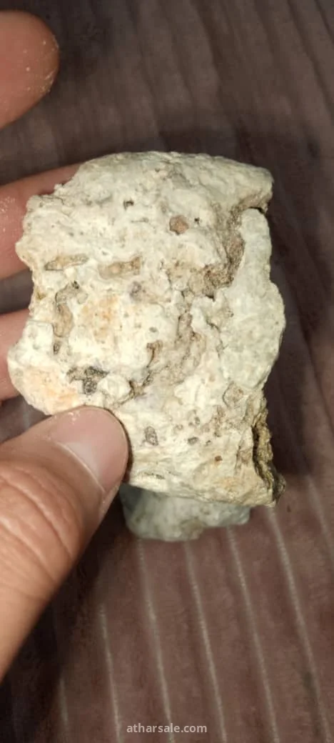 عنبر الحوت 7