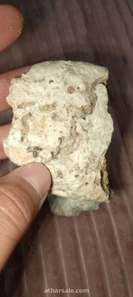 عنبر الحوت
