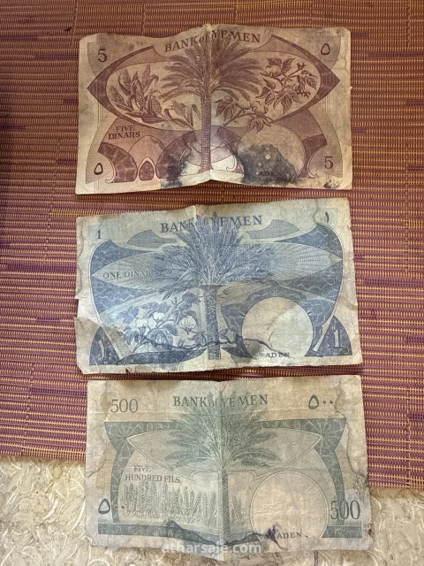 دينار جنوب الجزيرة العربية