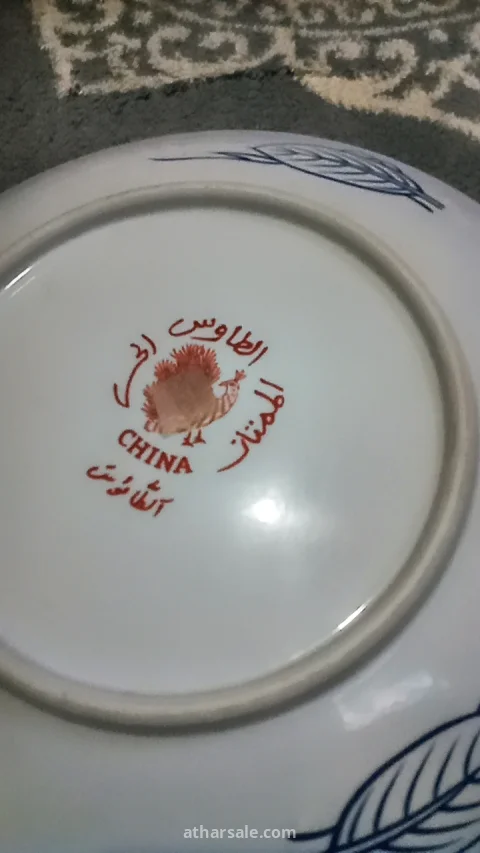 طبسيل الطاووس الحر 4
