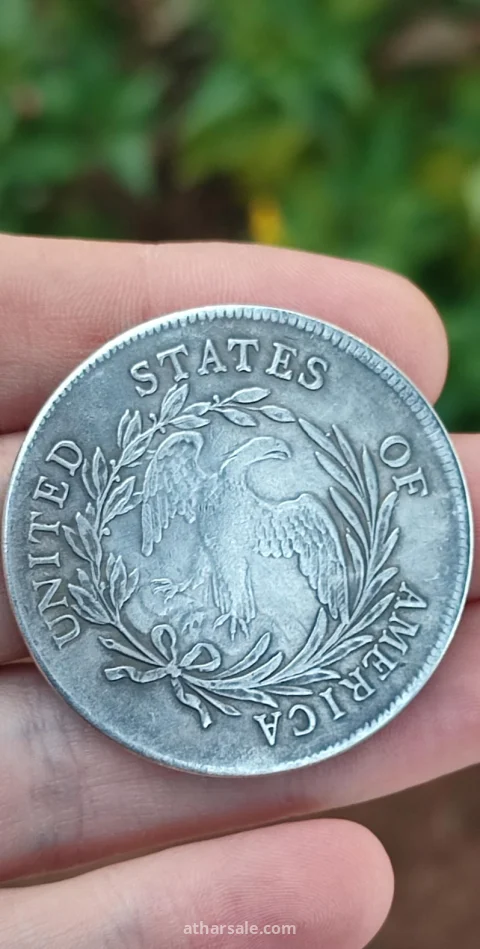 (Draped Bust Dollar) 3