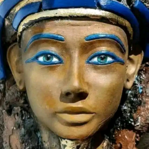 طارف