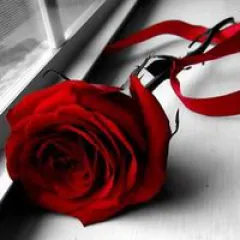 عزوز العامر