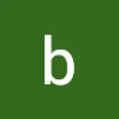 bebo wesa