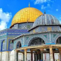 صلاح معارك