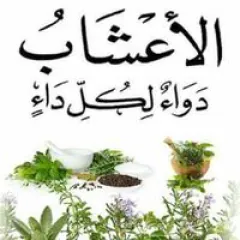 مصطفي حسن العطار