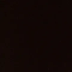مشعل الجريد