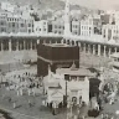 محمد القنيصي