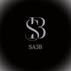 Hady Saab