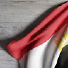 Sayed Alagouz