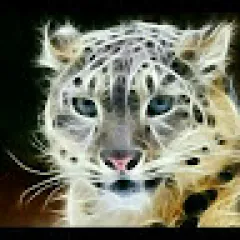 foad dxb