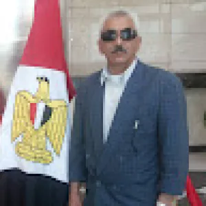 د. مصطفى النحراوى