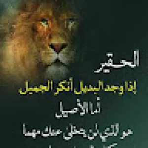 راضي الدالي