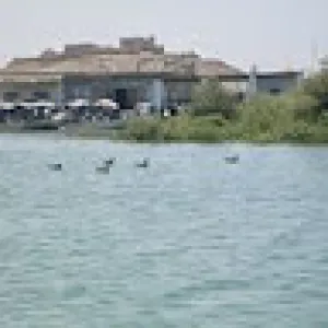 احمدعيسى عقيل