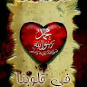 mohamed kasem
