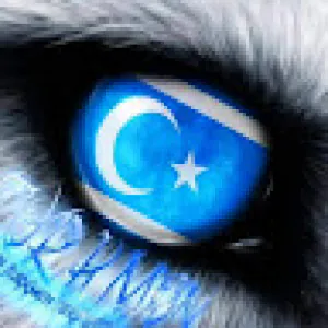 Shadi lkadir
