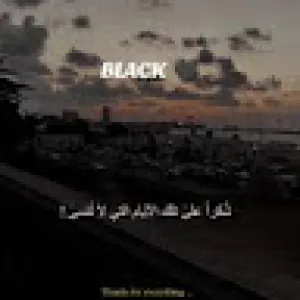 قصي الرشيد