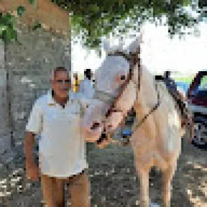محمد أبوالسعود