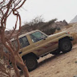 مازن البلوي