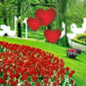 ياسر العيسائي