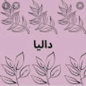 Dalia Gamal