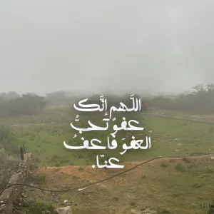 رائد العمار
