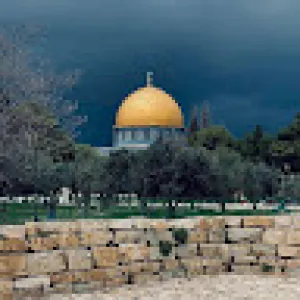 الدين النصيحة