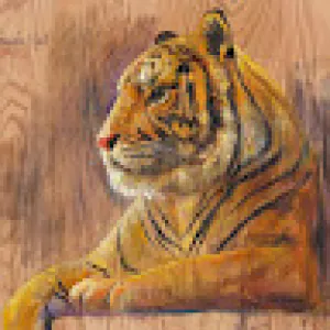 Wael Jafre