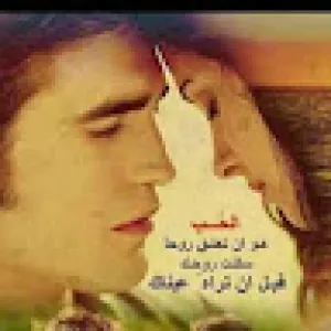 أبوأنس ألحموي