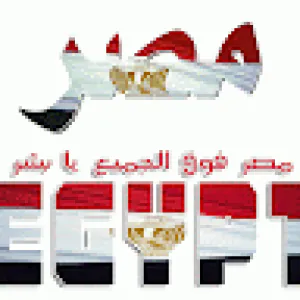 yasser elamor