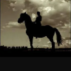 Qussai Alshraa