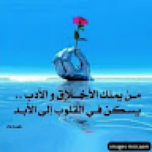 وائل الصبحي