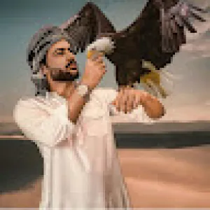 شركة الحمد للتوريدات
