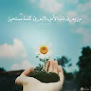 aarab mohamed
