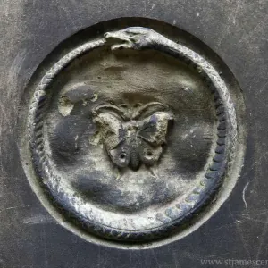 Aljawhara Alqahtani.