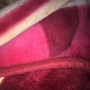 ابو روان العامري