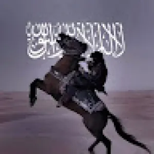 محمد بدرالدين