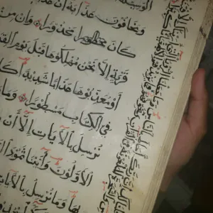 ابو صقر اليماني