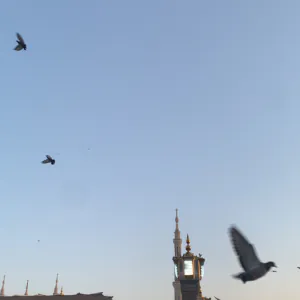 Sky
