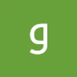 وليد الشناوي