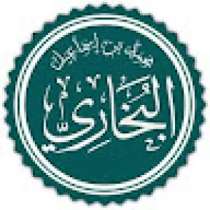 يوسف الحجوجي